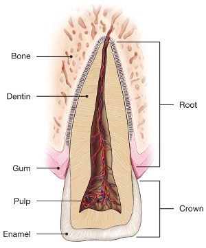 Traumatic Injuries